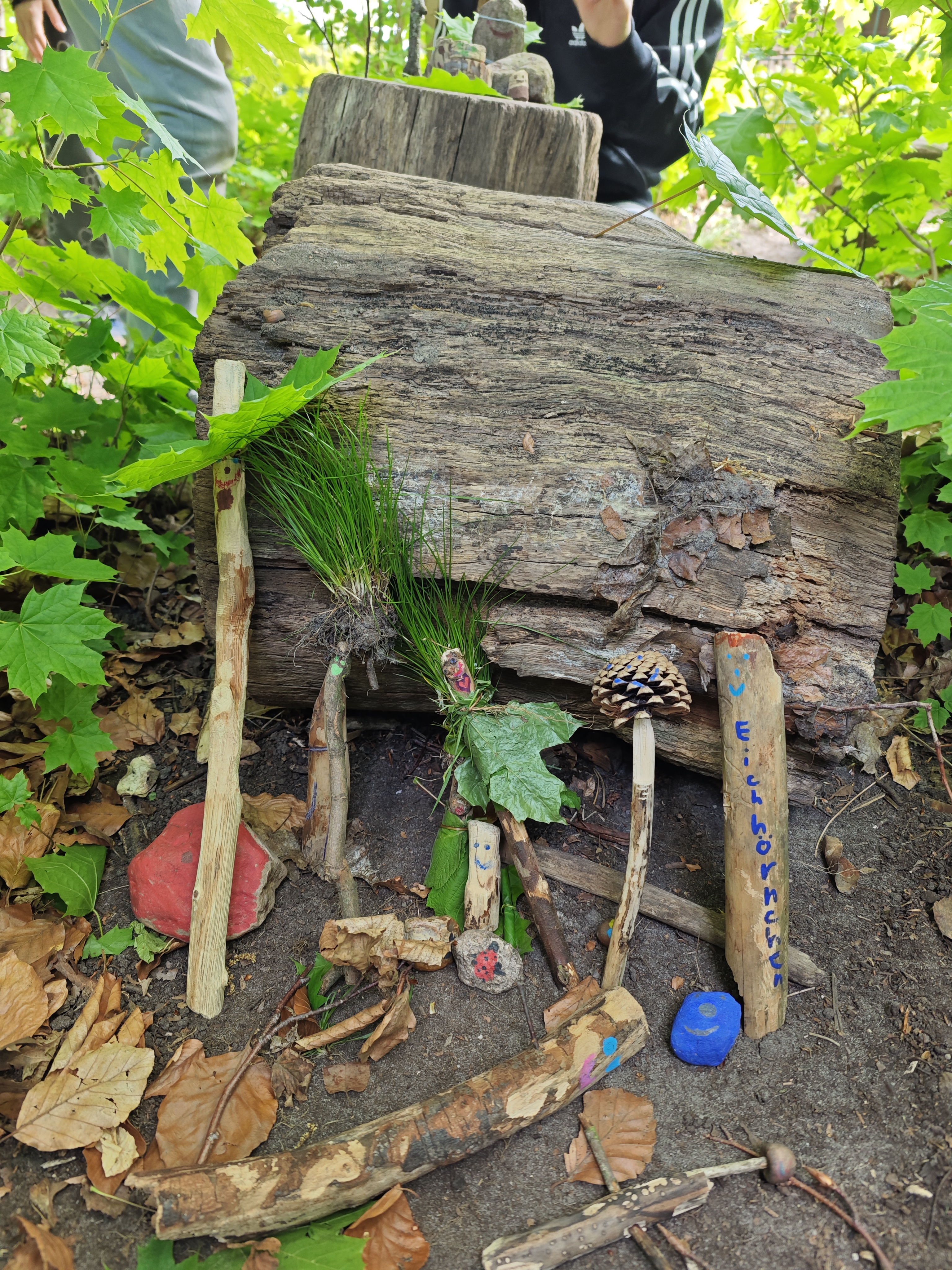 Wald-AG Wald-AG